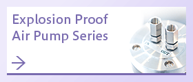 Explosion-proof Air Pump Series